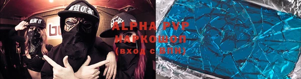 стаф Аркадак