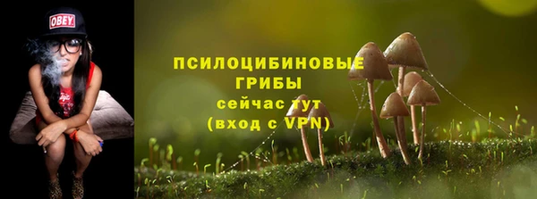 СК Армянск