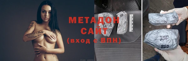 стаф Аркадак