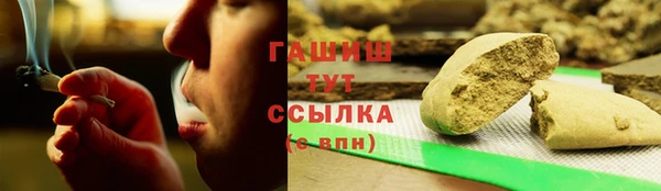 стаф Аркадак