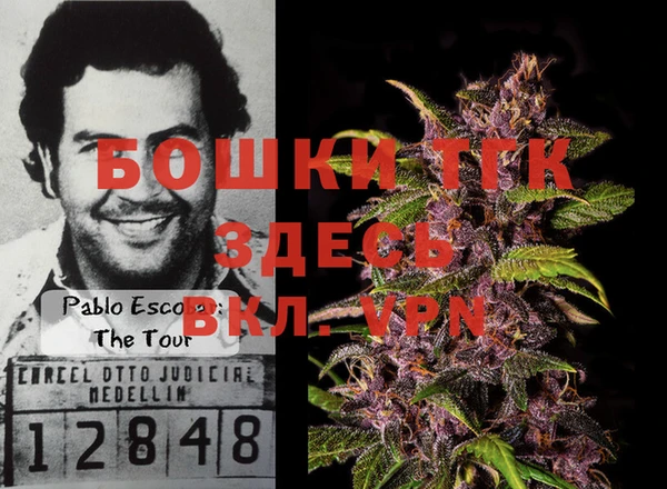 стаф Аркадак