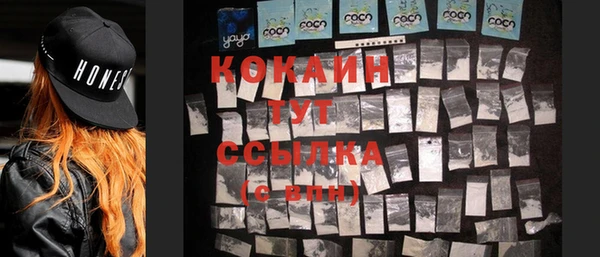 стаф Аркадак