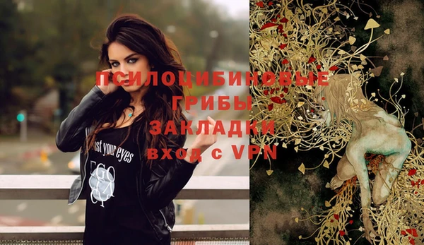 стаф Аркадак