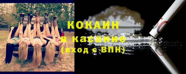 стаф Аркадак
