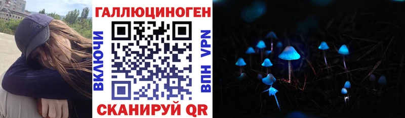 Галлюциногенные грибы Psilocybe  MEGA как войти  Унеча 